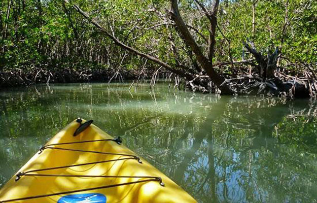 Delnor Wiggins State Park Tours Naples