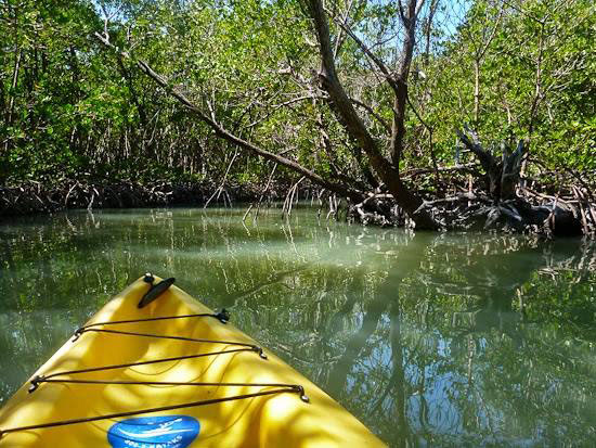 Kayaking Naples Florida