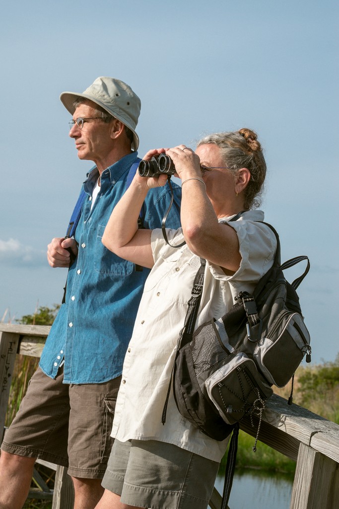5 Essential Tips for Beginner Florida Bird Watchers