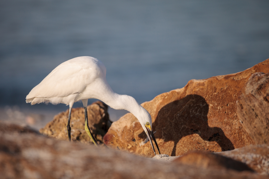 Why The Beach In Delnor Wiggins State Park Is A Must-Visit