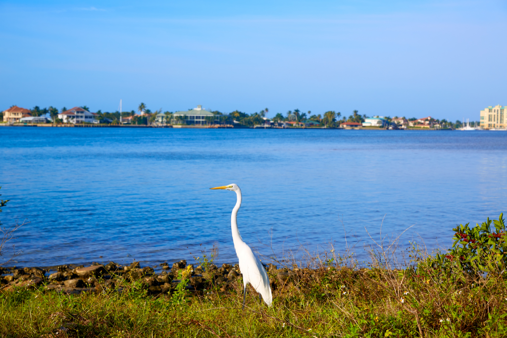 Things To Do To Make Your Naples Kayak Adventures Memorable