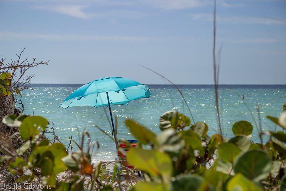 Delnor-Wiggins State Park: Exploring This Iconic Naples Florida Park