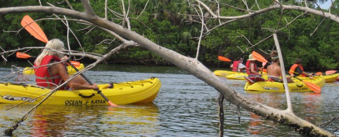 Basic Kayaking Safety Advice: Follow These 6 Guidelines For The Best Experience