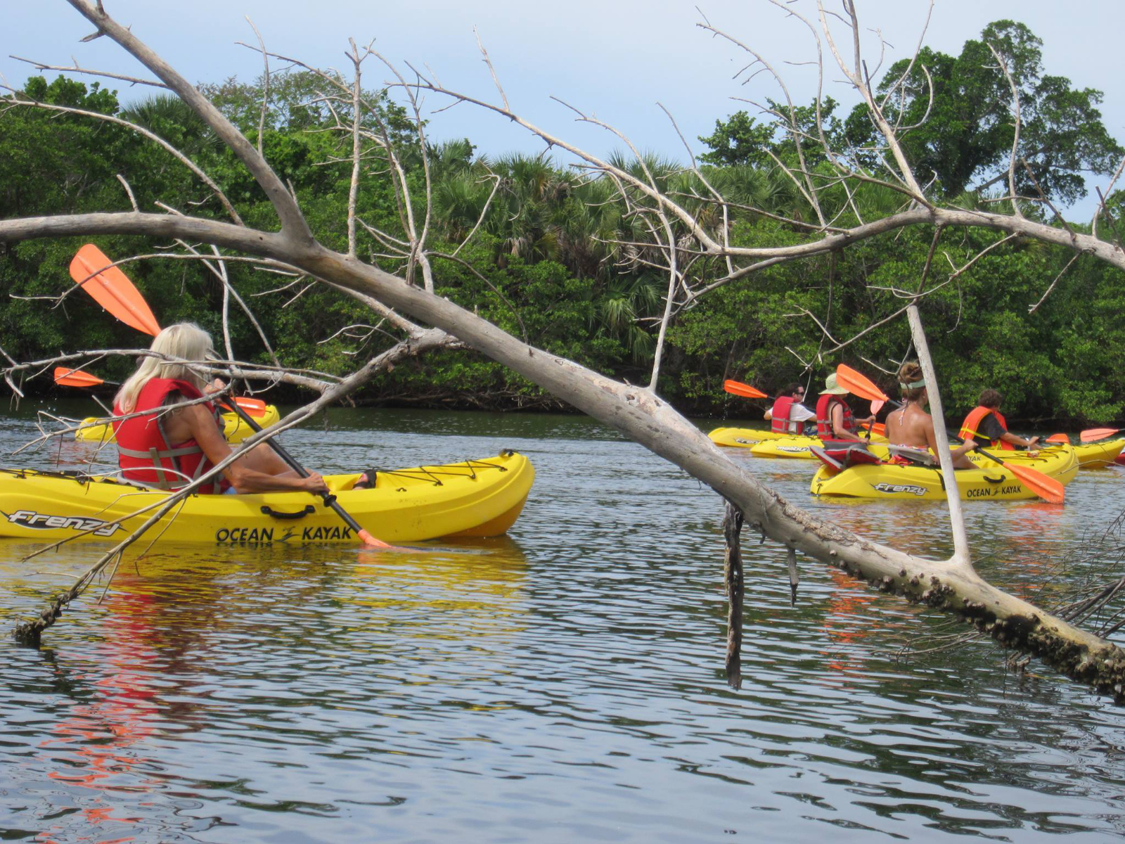 Basic Kayaking Safety Advice: Follow These 6 Guidelines For The Best Experience