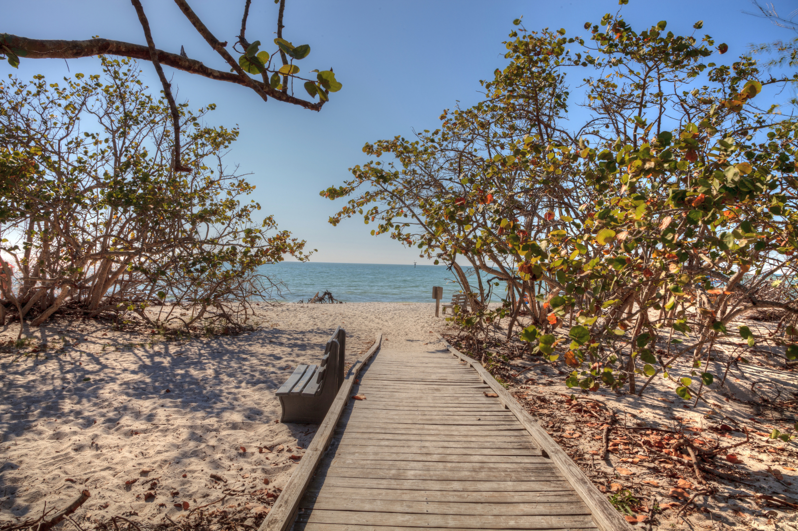 4 Non-Touristy Things To Do in Naples, Florida